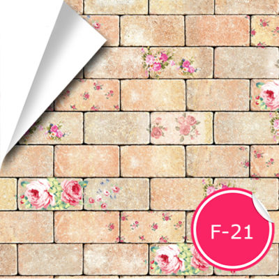 f-21-1